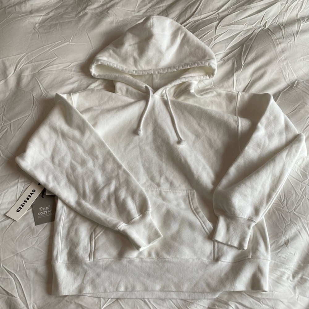 Aritzia TNA Cozy AF Boyfriend Hoodie